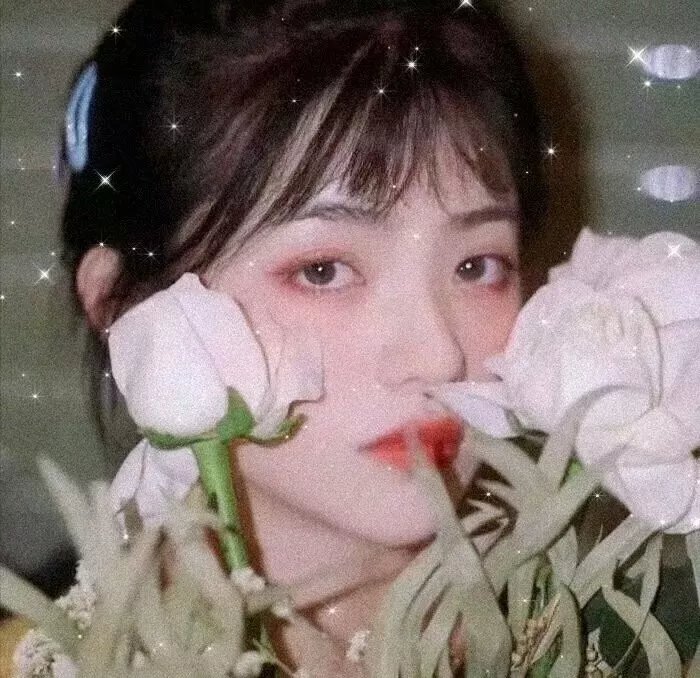 泡影昙花