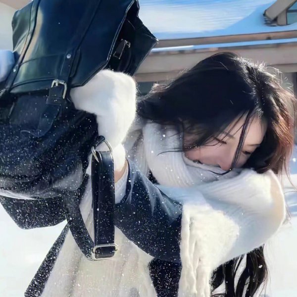维京人埃里克